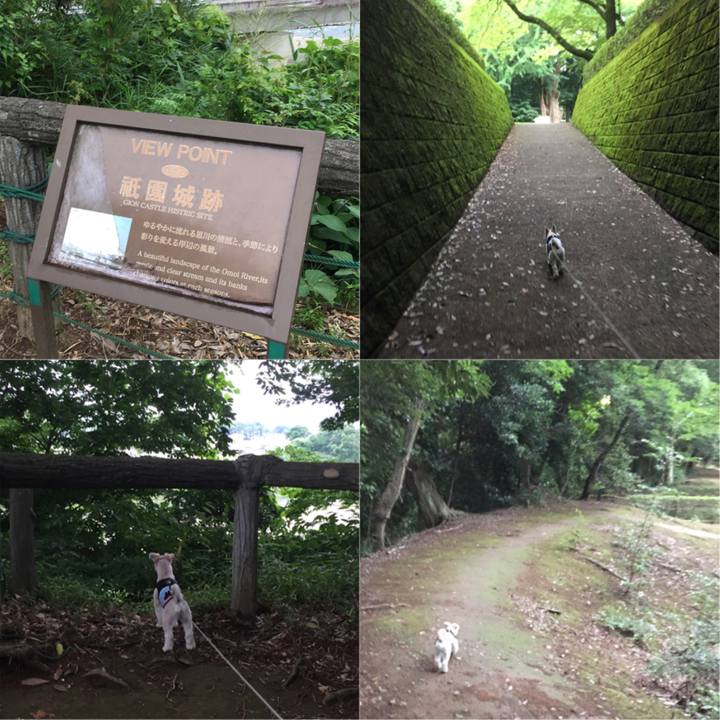 Eb043a2c 7a30 4064 b172 ac9b29ea88ae 1529143758669