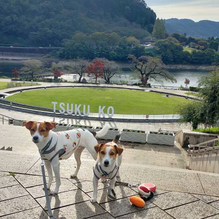 Eb04719b 98dd 4ac5 a96e c5b8fccb4c9c 1761726462520