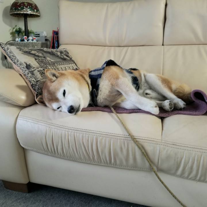 Eb048694 d9d4 40ae aab7 0b9e02ad6ccd 1673563213658