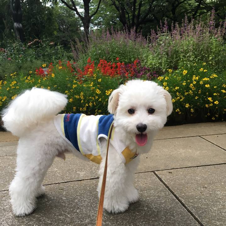 Eb049768 d729 458b a2b3 db746f882618 1563873755695