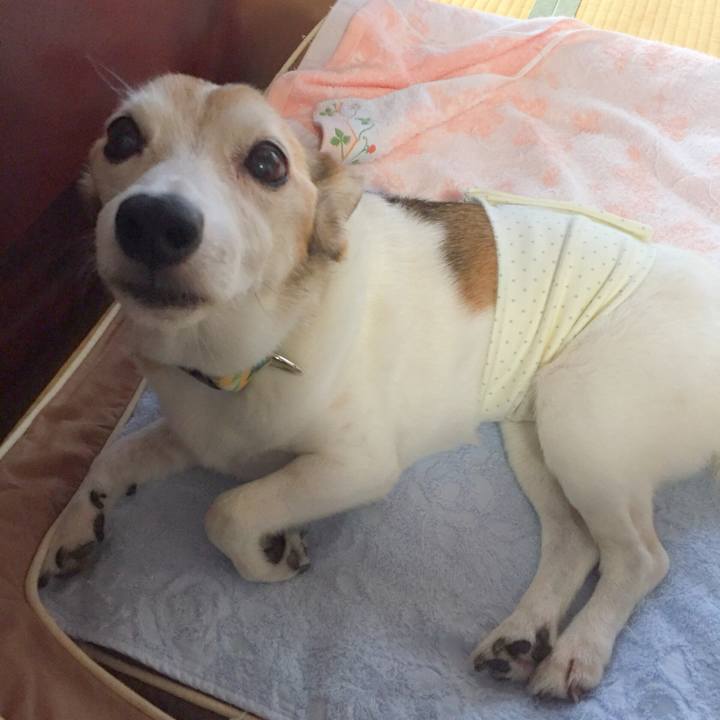 Eb04a257 92e0 418b 9227 e06e650b6092 1534392825217