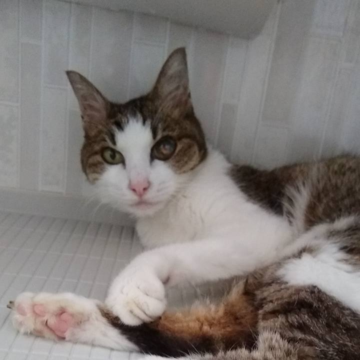 Eb04a5c0 f6d8 4413 a951 5a61c4b11b23 1568511010370