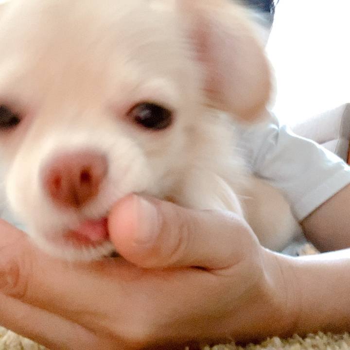 Eb04acef 5a98 424f a554 59551db3590c 1597007920463