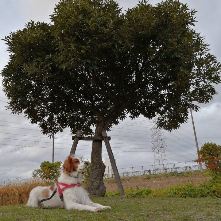 Eb04d7fd ca65 4d8e 9889 6322f59a492f 1574669267236