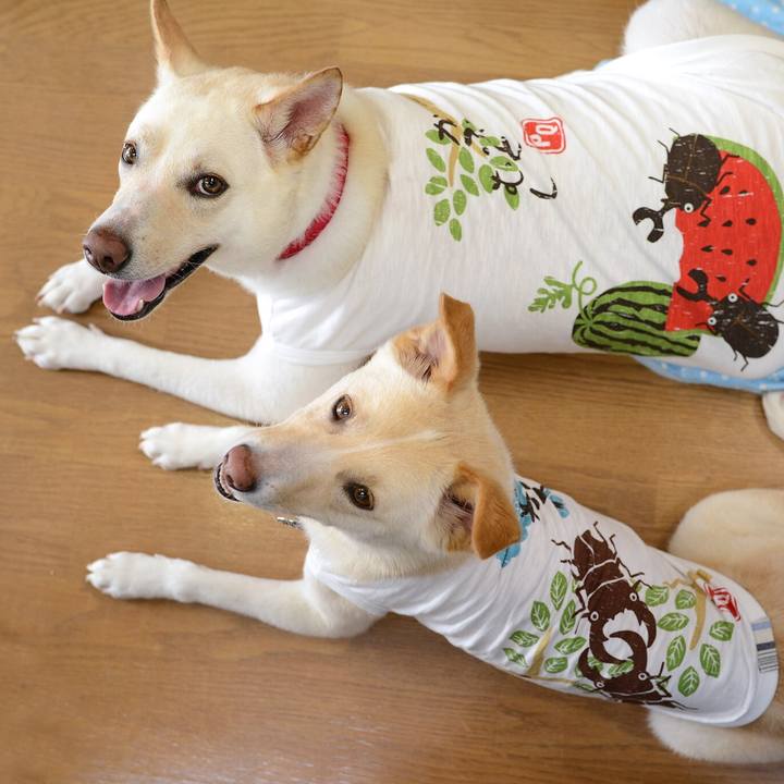 Eb04d99e 051b 4152 a25b 8e6eb877a4ad 1529585078557