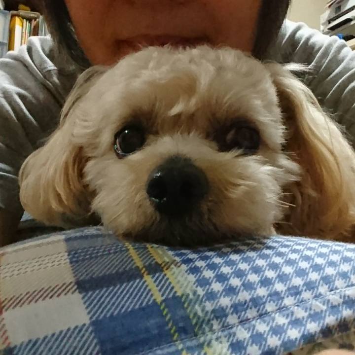 Eb0505a6 3118 4252 b727 f9fa59d9894c 1560659060330