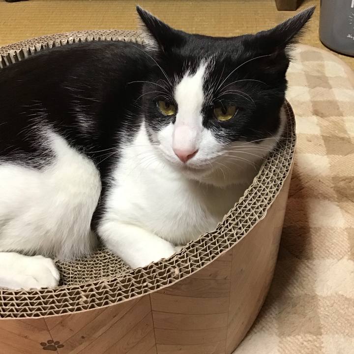 Eb0566b0 db91 49cd afc4 65fc93d7c8f3 1699183542548