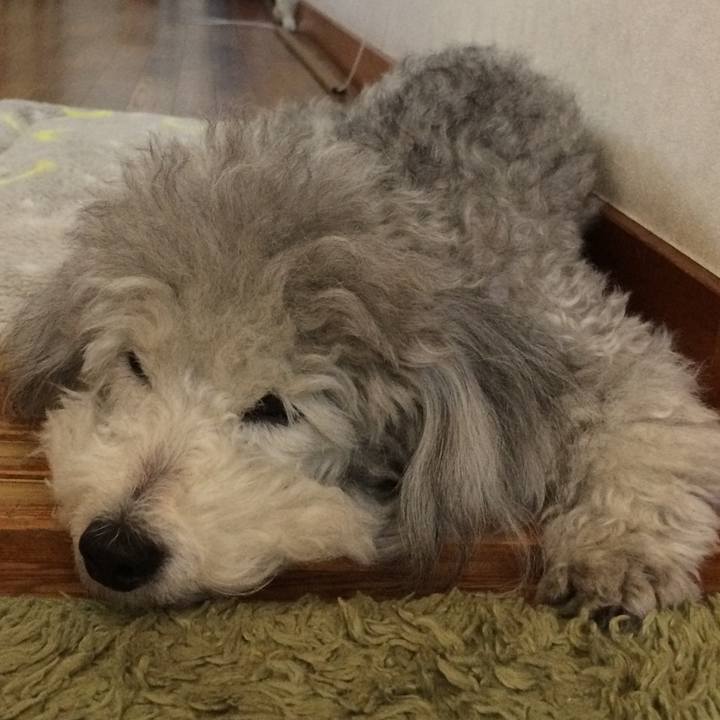 Eb0566ea c141 4485 8e5f 0542adcbdd24 1513551481221