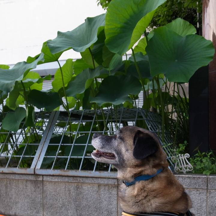 Eb0580c8 ff7f 4d7a 98c2 fa3830c5afa4 1582324969943