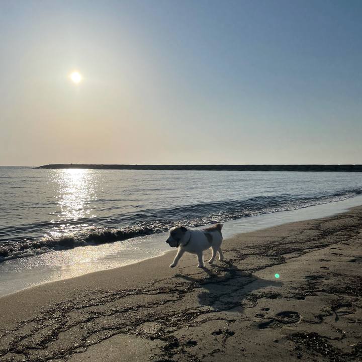 Eb058a8b 0b9d 4e5f 9e46 cd47d49f2c8c 1619081175862