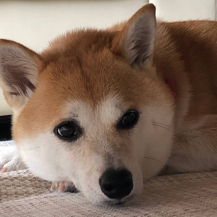 Eb058b89 0145 48f8 894a 687a48787f3a 1536637142624