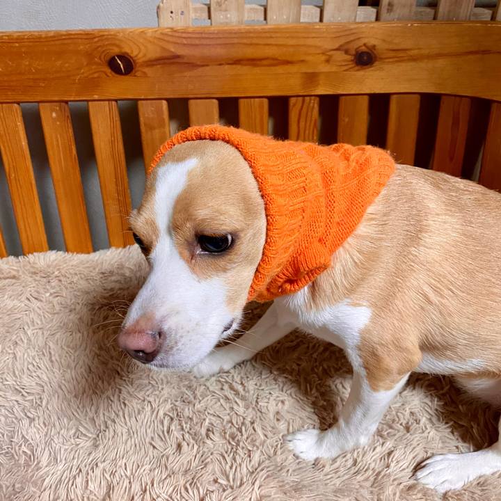 Eb060f09 ab62 4404 bbf6 68f43d5e840e 1586568559574