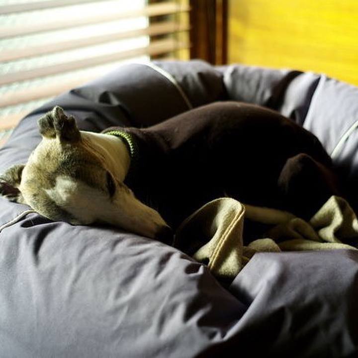 Eb065100 4b75 403a a1cd 8eaad531c260 1512990999412