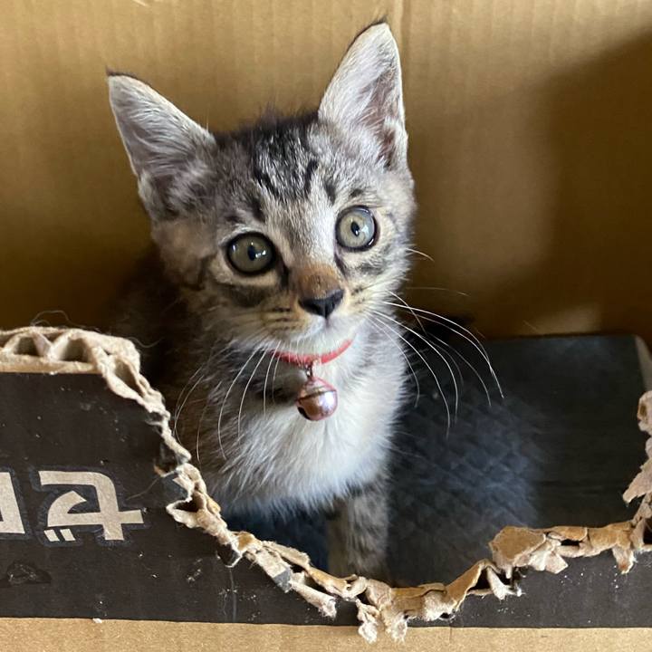 Eb0658d8 d734 41d0 b189 4956a1ecd405 1719995292675