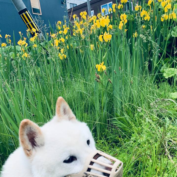 Eb065b6d 482d 4bd8 8a19 256d5fde6422 1623875691817