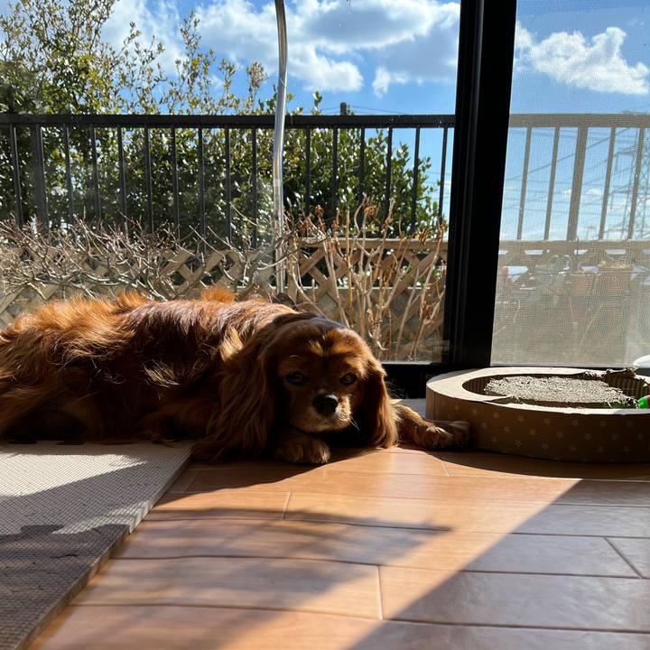 Eb0692f4 47cc 4631 a1bc 4f4a3634f8f0 1674963523015