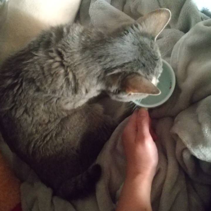 Eb06a18e e740 45fd a48e b5a4e1db6074 1697237771315