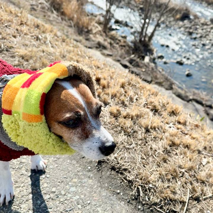 Eb06bcf5 3ded 45d3 b250 014b46619077 1770974322839