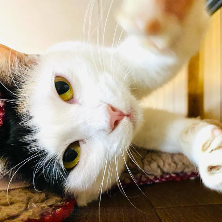 Eb06c329 d69e 4829 8955 4bd0d91e2b26 1699736046023