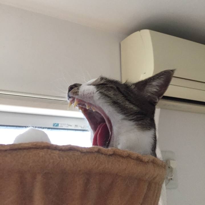 Eb06d1b5 6fee 4f43 af93 c5a2e87f455a 1508562497545