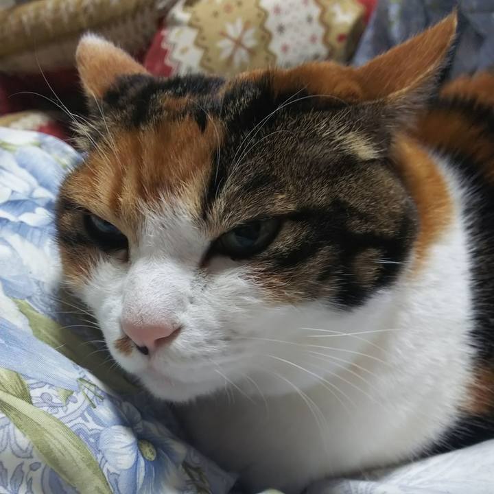 Eb072517 289e 40ea b78f 8bffb24fb0dd 1580075950962