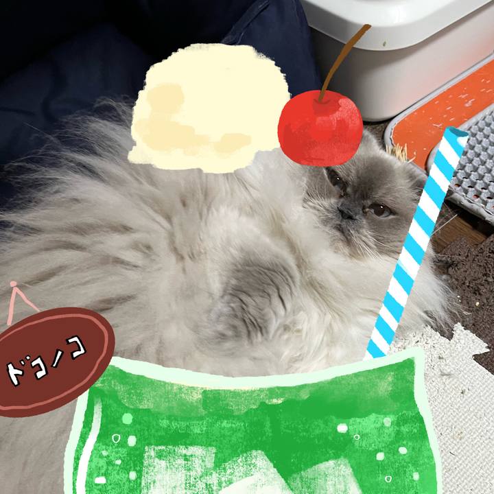 Eb072eb2 d154 4d47 a37e c9d2c49c3a15 1755150352850