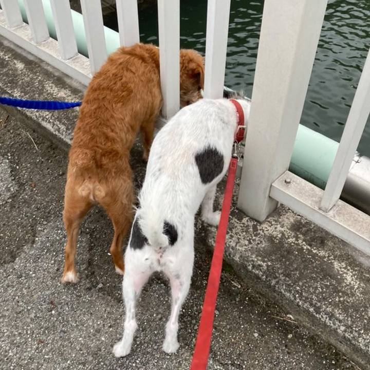 Eb0732a9 f8cd 4acb 8abd 2c0950bf4b01 1663157476982