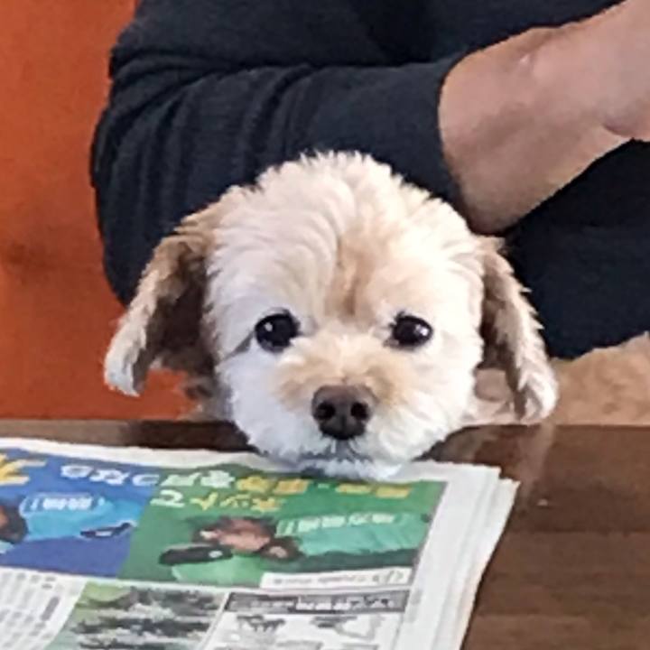 Eb073317 6084 4207 be60 c9c9dbe3bef6 1541131608698