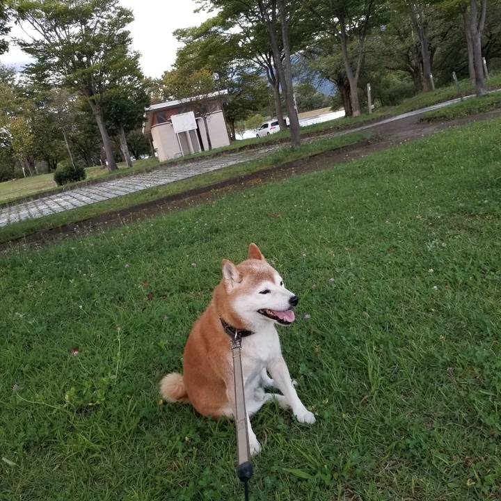 Eb074875 3e72 4270 a141 135633b5f610 1662454328194