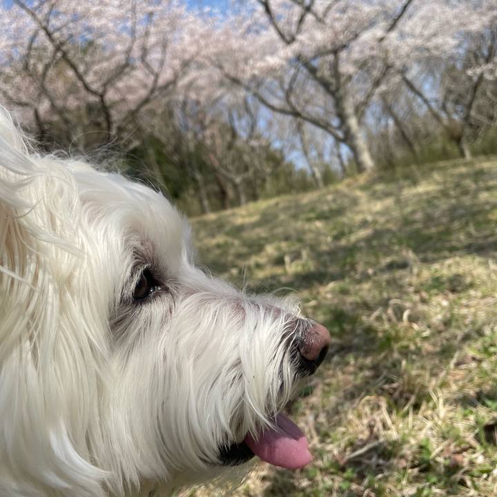 Eb078184 c534 40b3 8487 cff8bdc52f22 1731296280444