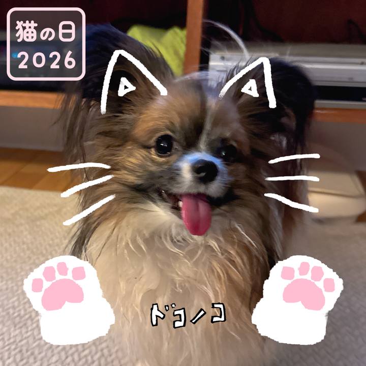 Eb07bd18 3047 48cb 8850 693fb67b5a11 1771719146758