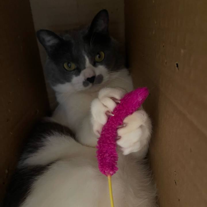 Eb07e609 8e3b 4f18 af60 c1afe4e9e623 1742093853671