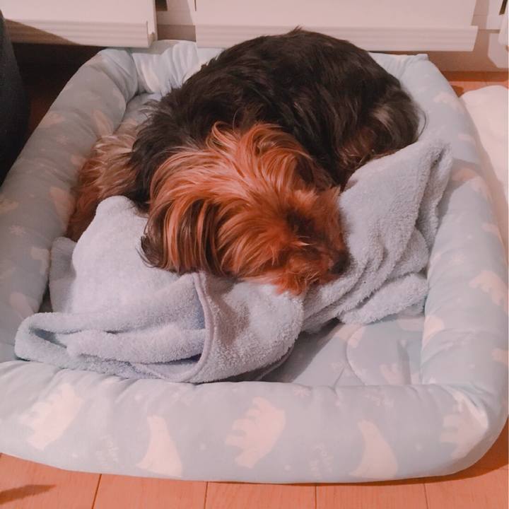 Eb07e68c e577 4e18 8169 1a67cce7be86 1531567261389