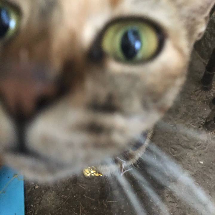 Eb07f0a7 d71b 4ed9 be04 d84fe1928124 1600743826179