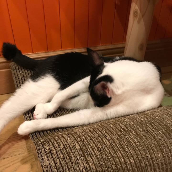 Eb080682 8a12 47a9 b134 e95141d1b14f 1507815011014