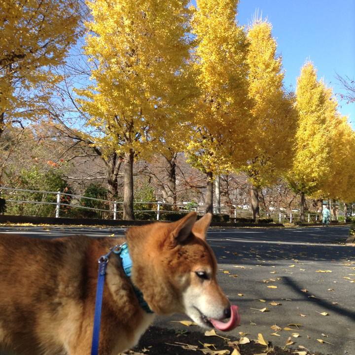 Eb083797 02dc 4553 b5d4 cd82e35c5154 1543568827888