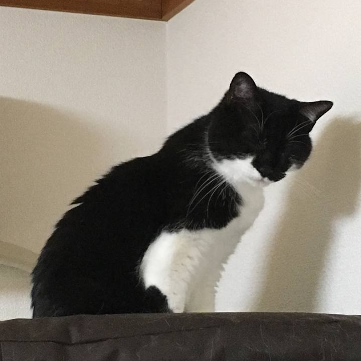 Eb087bf3 0311 4590 a679 296e764e5359 1526548823628