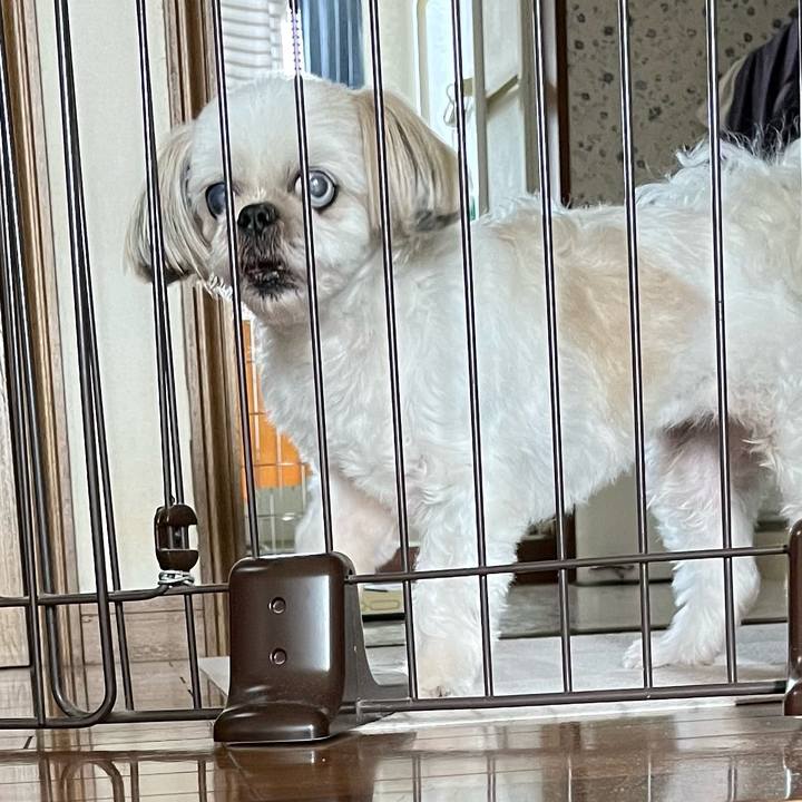 Eb08c906 abcd 4da3 befe 14e5c49257f8 1689416158456