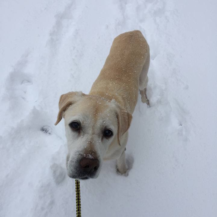 Eb08d8a5 42d9 44d5 be40 ef15e6e89218 1514357415483