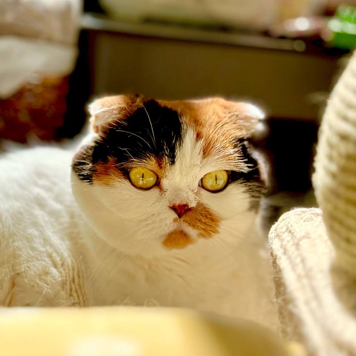 Eb08f180 b048 4f2a a43f cb1e1a551560 1690091958604