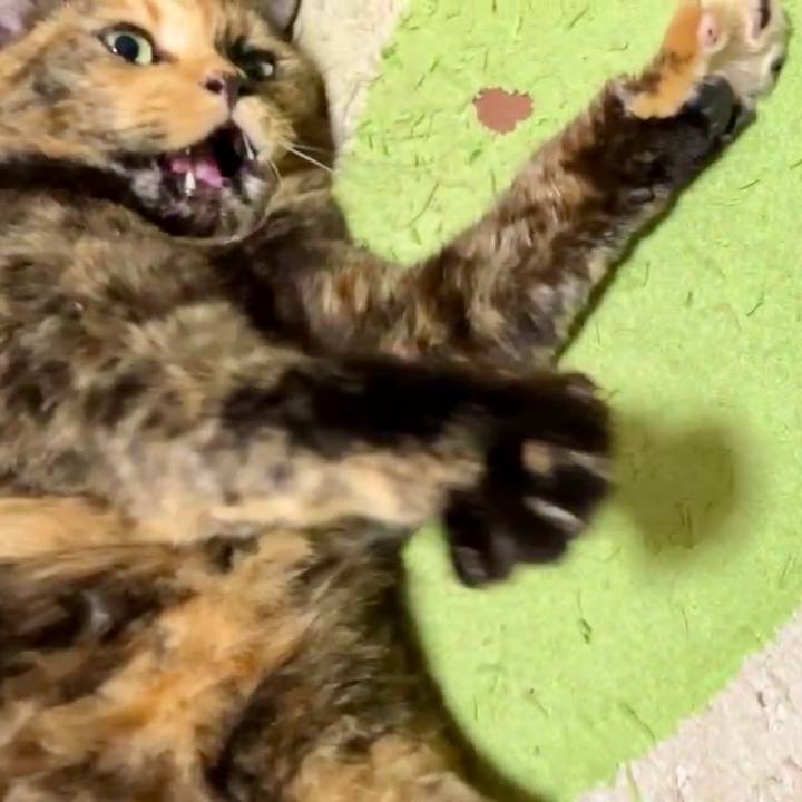 Eb090776 f62d 4b7b 9374 77dbd67eac7b 1729627173920