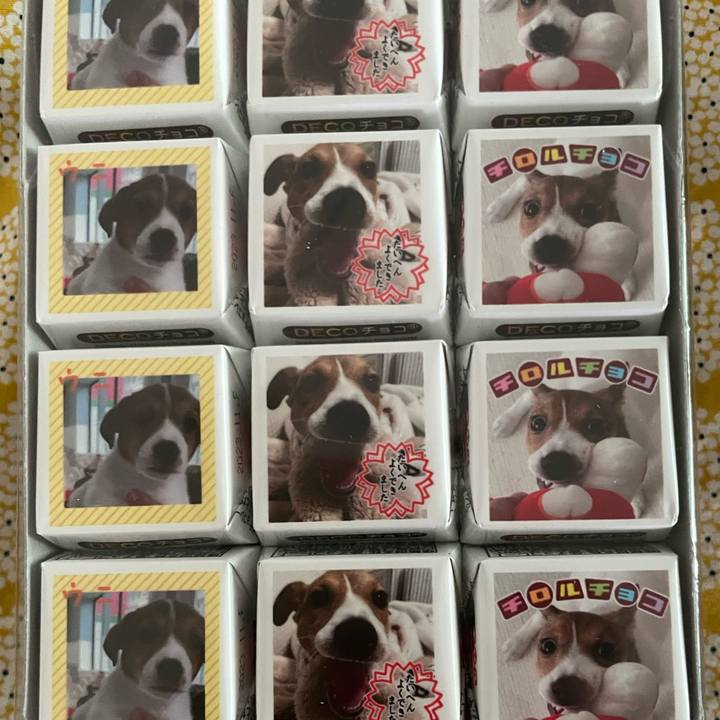 Eb0941cb 8ab6 47b4 8567 4f6c5576216e 1676076266146