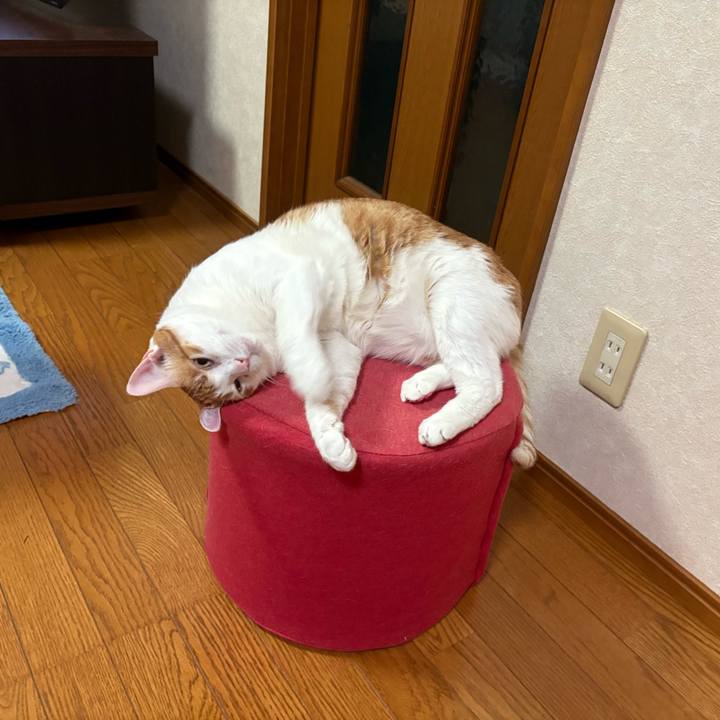 Eb0947ba c390 484f b595 6192872415f9 1764367102526