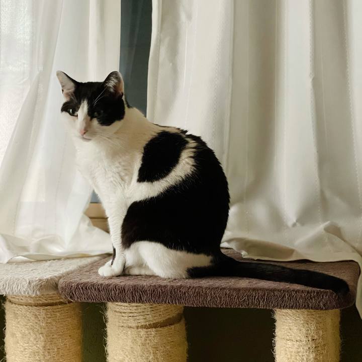 Eb096186 8d59 49be b82e f3d351ec9104 1622688085168