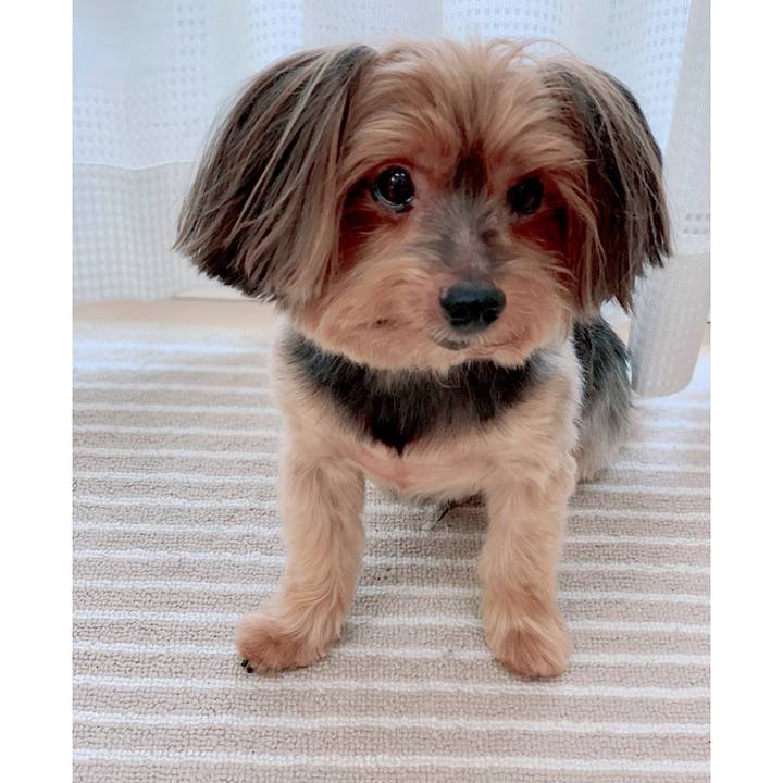 Eb099b31 0c0f 4ff4 a974 df17a94a7c0e 1597905766841