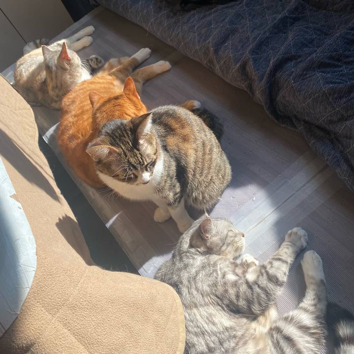 Eb09a547 c771 40b5 b5ef 35a100e94649 1642732415399