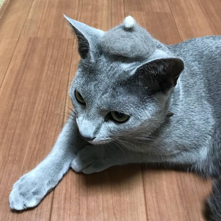 Eb09f6ba a39e 4cb8 b7f8 a7dfbeb34ed2 1523969183023