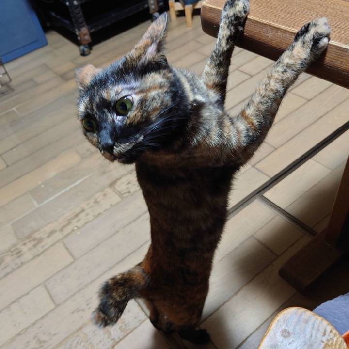 Eb0a3d9c f4d6 479d bc6a b64350bdce1b 1716031414721