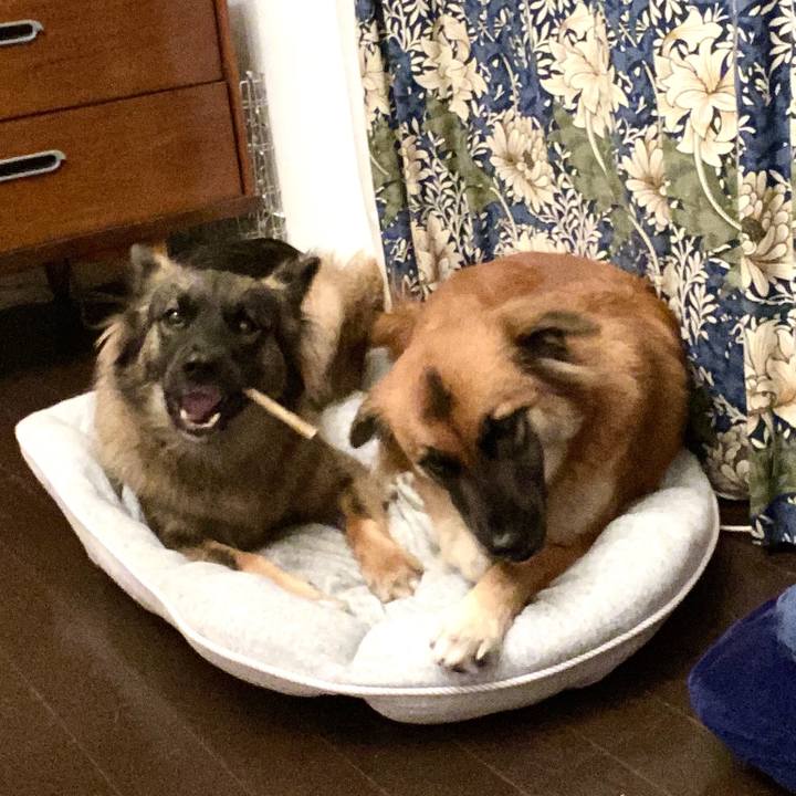 Eb0a609d 6679 4a68 92cf 9933f4dcb848 1761274846400