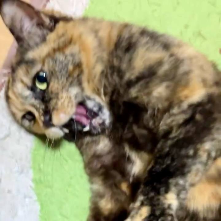 Eb0a6465 0a88 4d26 a2bd 978ebf64f9ca 1739188799267